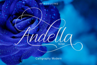 Andella Script: A Font for Business Beauty