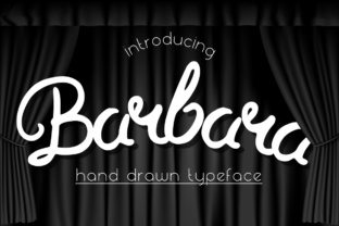 Barbara Font for Professional Branding