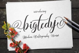 Bigtedy: A Fluid Script Typeface for Editorial Design