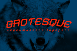 Grotesque Font for Creative Makers