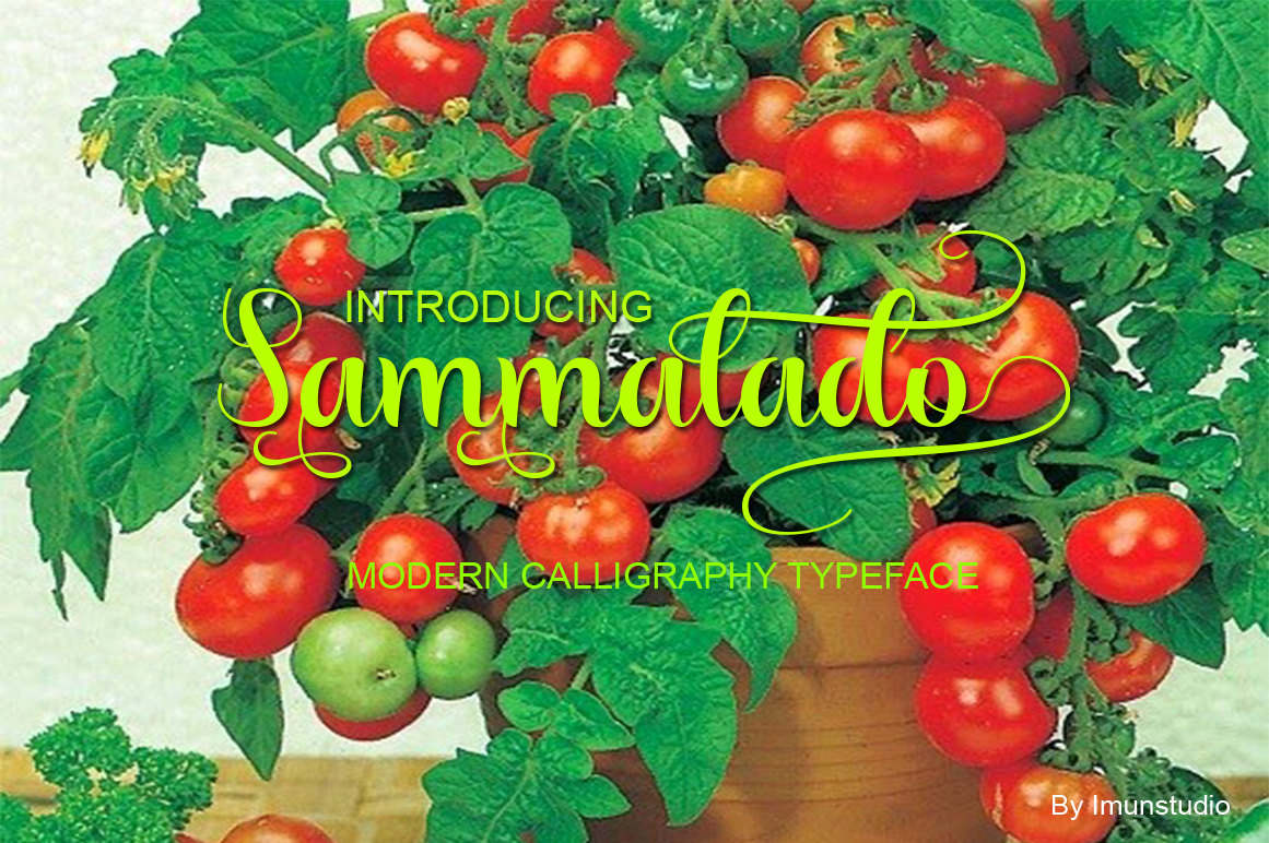 Sammalado Font for Web Design